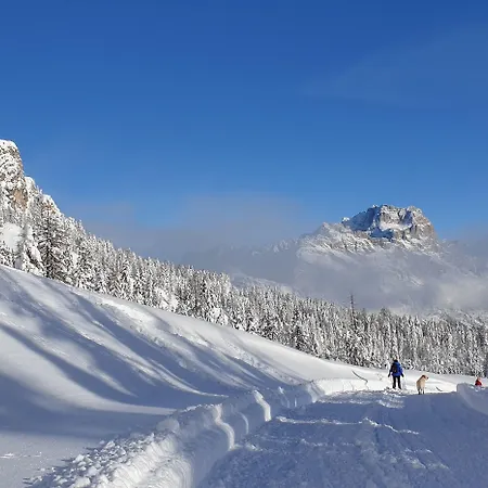Hotel Bellaria - Cortina D'Ampezzo - Free Parking Hotel